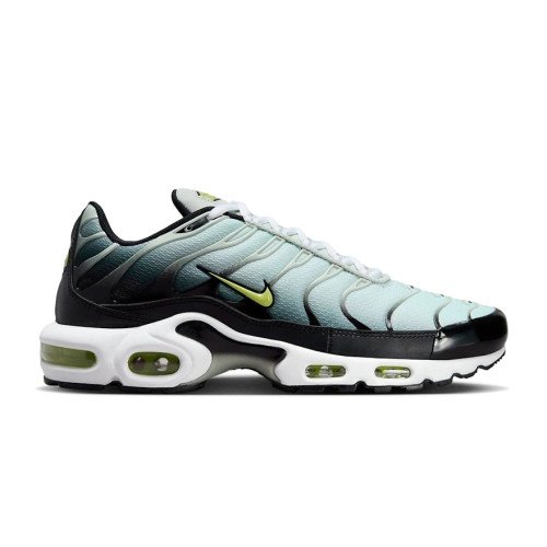 Nike Air Max Plus (DM0032-006) [1]