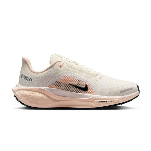 Nike Pegasus 41 GTX (FQ1357) [1]