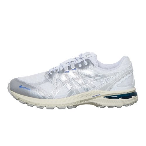 Asics Gel-Terrain GTX (1203A457-100) [1]