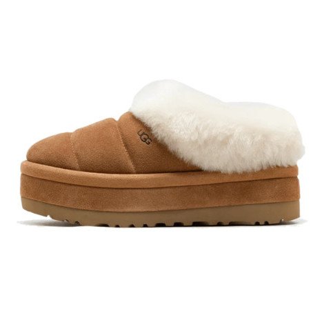 UGG Tazzlita (1146390-CHE) [1]