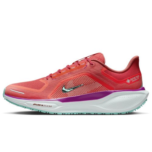 Nike Pegasus 41 GORE-TEX (HM8872-600) [1]