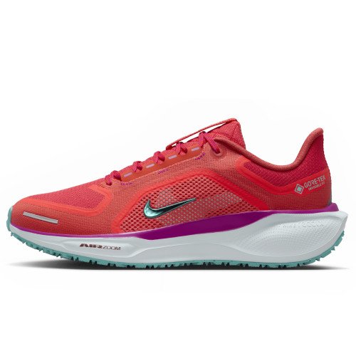 Nike Pegasus 41 GORE-TEX (HM8870-600) [1]