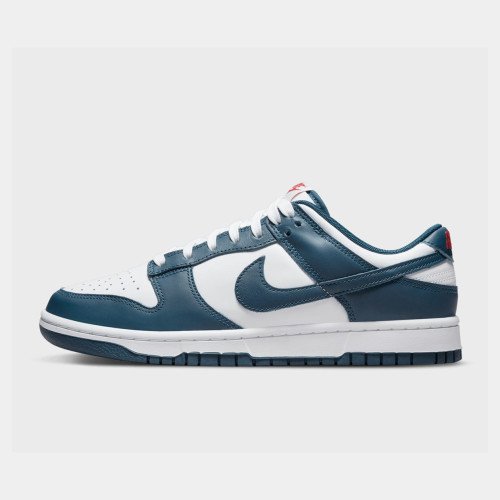 Nike Dunk Low Retro (DD1391400) [1]