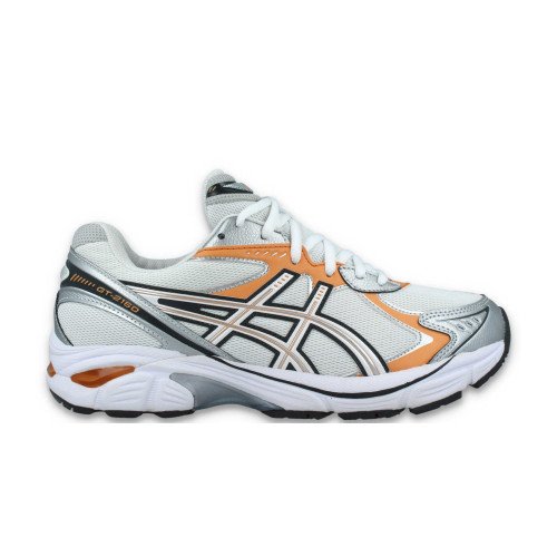 Asics Gt 2160 (1203A320-101) [1]