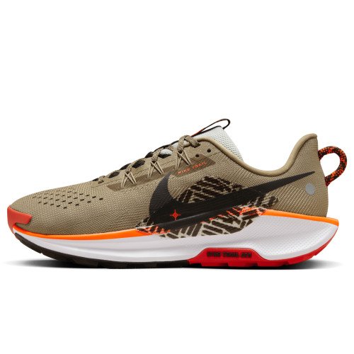 Nike Pegasus Trail 5 (DV3864-201) [1]