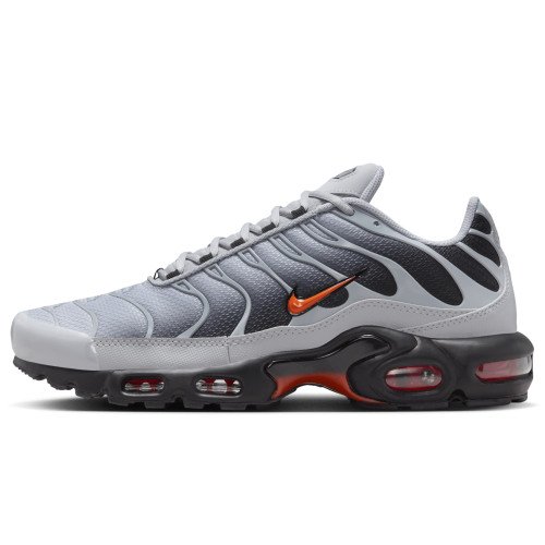 Nike Air Max Plus (DM0032-011) [1]