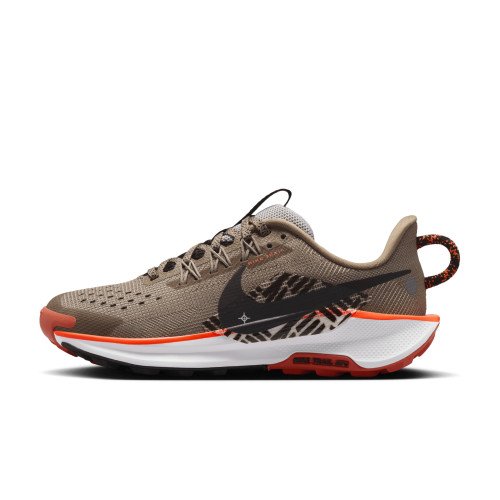 Nike Pegasus Trail 5 (FV5638-200) [1]