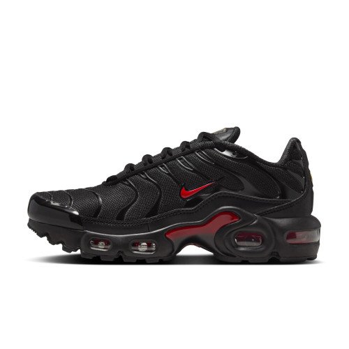 Nike Air Max Plus (HV2891-001) [1]