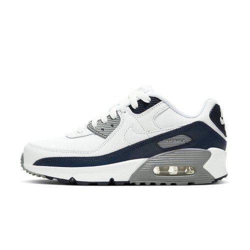 Nike Air Max 90 LTR (GS) (CD6864-105) [1]