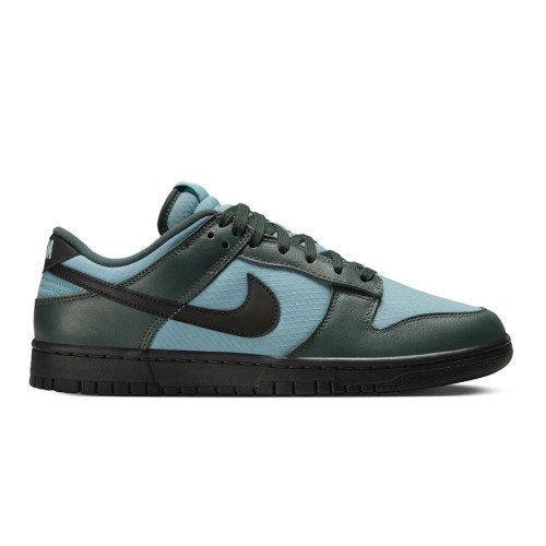 Nike Dunk Low (FZ3052-300) [1]