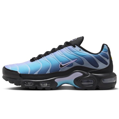 Nike Air Max Plus (HV2510-001) [1]