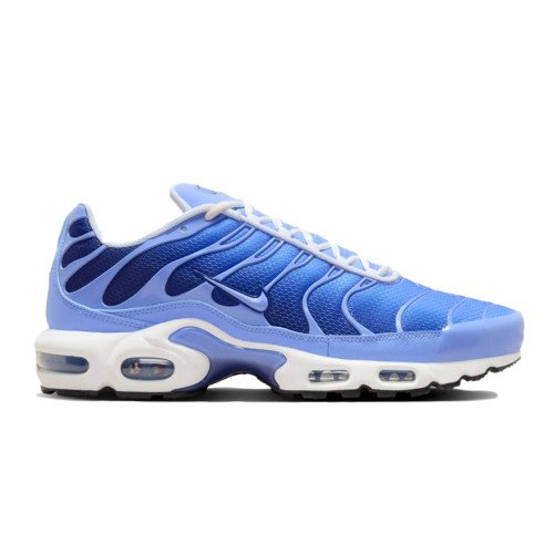 Nike Air Max Tuned 1 (DM0032-403) [1]