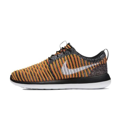 Nike Wmns Roshe Two Flyknit (844929-005) [1]