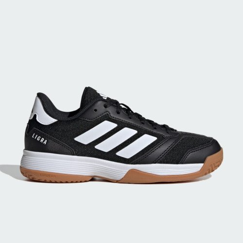 adidas Originals Ligra 8 Indoor Kids (JR0744) [1]