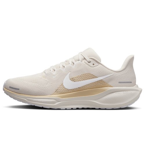 Nike Pegasus 41 (FD2722-106) [1]