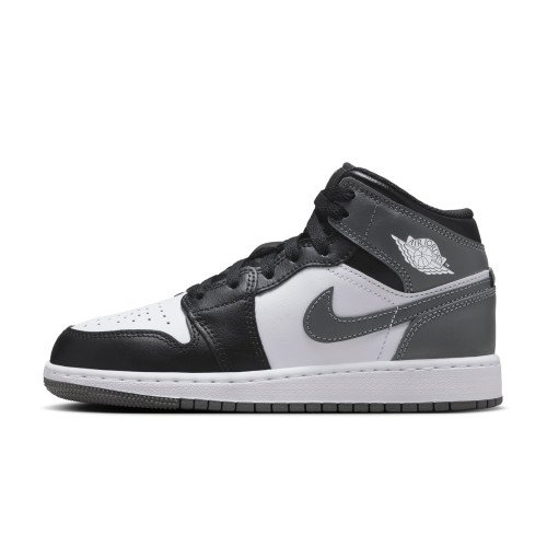 Nike Jordan Air Jordan 1 Mid (DQ8423-001) [1]