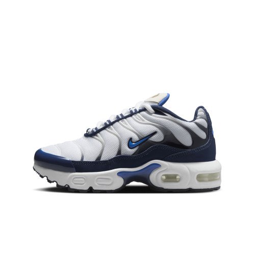 Nike Air Max Plus (CD0610-112) [1]