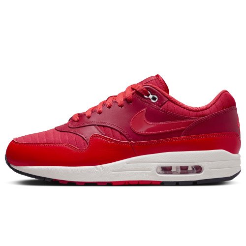 Nike Air Max 1 (HQ3607-687) [1]