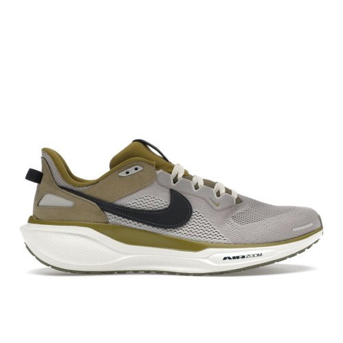 Nike Air Zoom Pegasus 41 (HQ6025-001) [1]