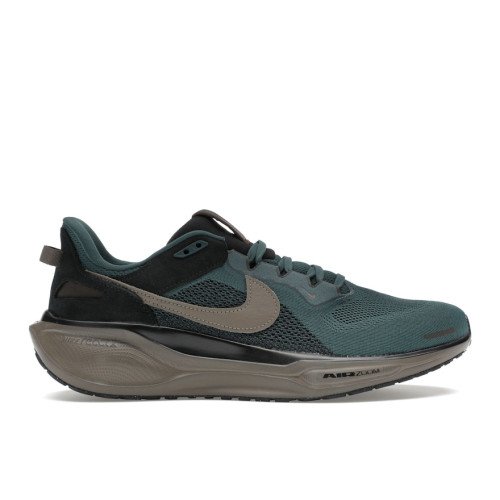 Nike Air Zoom Pegasus 41 (HQ6025-300) [1]