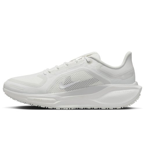 Nike Pegasus 41 GORE-TEX (FQ1357-101) [1]