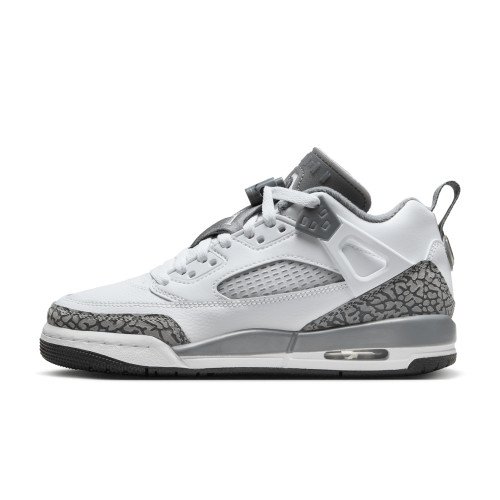 Nike Jordan Spizike Low (FQ3950-102) [1]