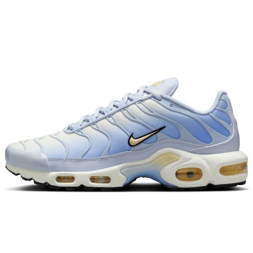 Nike Air Max Plus (DZ3670-004) [1]