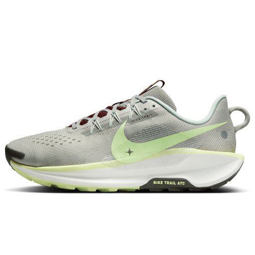 Nike Pegasus Trail 5 (DV3864-004) [1]