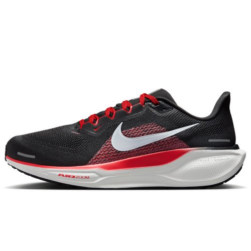 Nike Pegasus 41 (FN4932-005) [1]