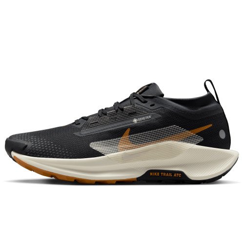 Nike Pegasus Trail 5 GORE-TEX (FQ0908-007) [1]