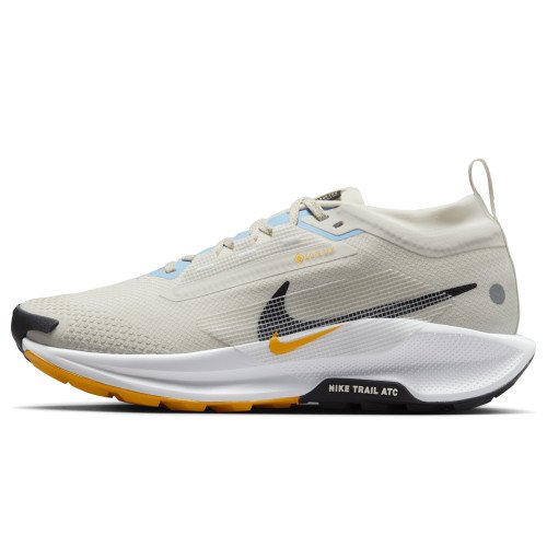 Nike Pegasus Trail 5 GORE-TEX (FQ0912-003) [1]