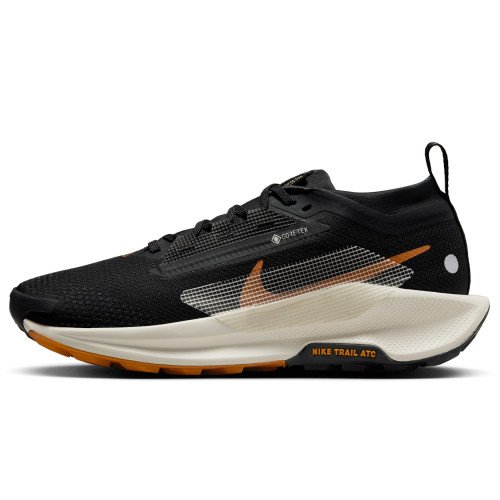 Nike Pegasus Trail 5 GORE-TEX (FQ0912-005) [1]