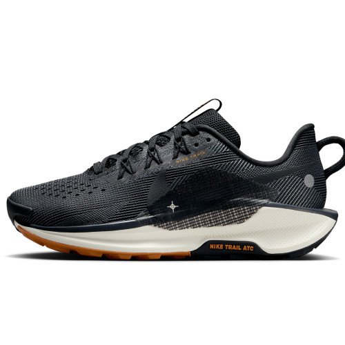 Nike Pegasus Trail 5 (DV3865-006) [1]