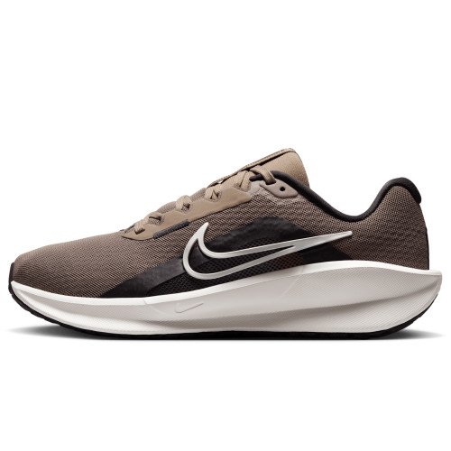 Nike Downshifter 13 (FD6476-200) [1]