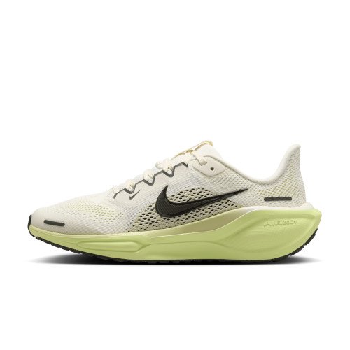 Nike Pegasus 41 (FN5041-106) [1]