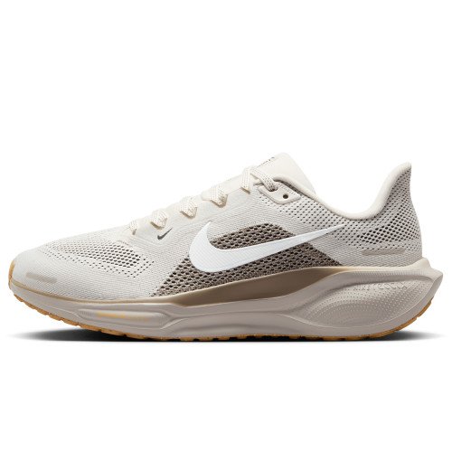 Nike Pegasus 41 (FD2723-008) [1]