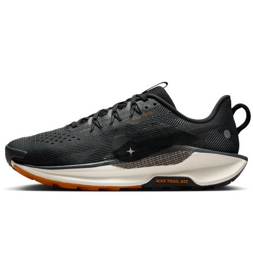 Nike Pegasus Trail 5 (DV3864-006) [1]