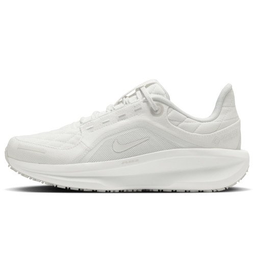 Nike Winflo 11 GORE-TEX (FQ1359-101) [1]