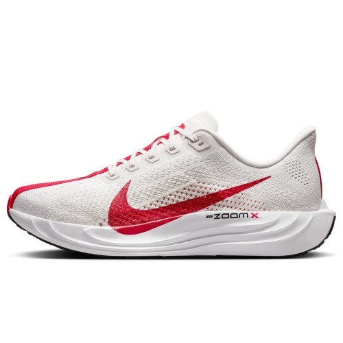 Nike Pegasus Plus (FQ7262-003) [1]