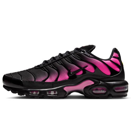 Nike Air Max Plus (DM0032-020) [1]