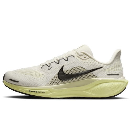 Nike Pegasus 41 (FD2722-109) [1]