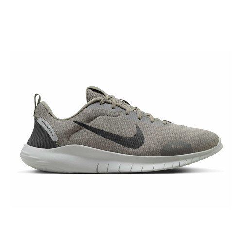 Nike FLEX EXPERIENCE RN 12 (DV0740-300) [1]