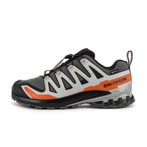 Salomon XA Pro 3D V9 GTX (L47817500) [1]