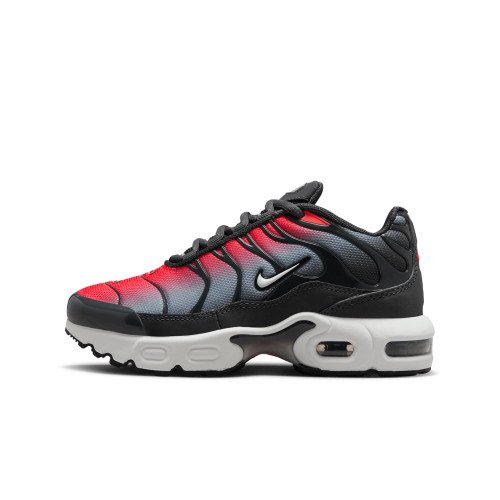 Nike Air Max Plus (FZ0023-604) [1]