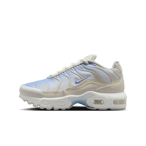 Nike Air Max Plus (FZ0023-411) [1]