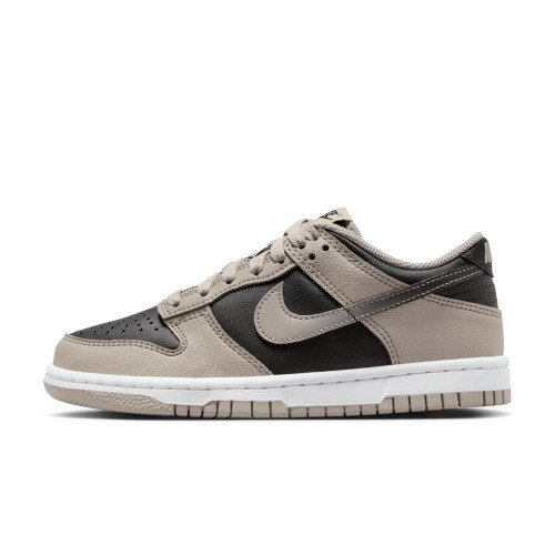 Nike Dunk Low (HV6363-009) [1]