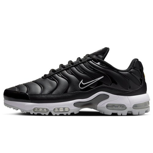 Nike Air Max Plus (FZ4150-001) [1]