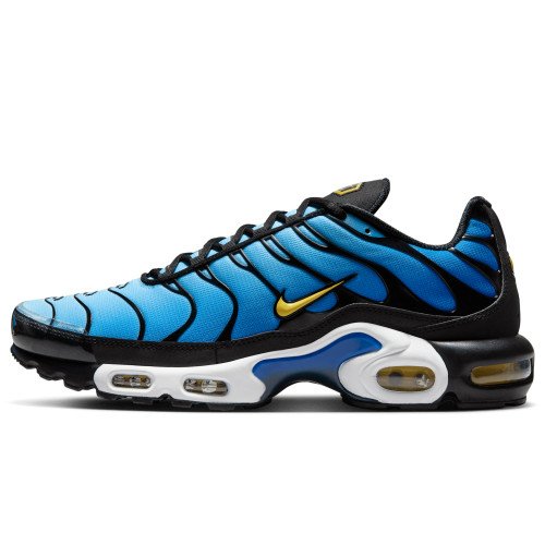 Nike Air Max Plus OG (DX0755-001) [1]