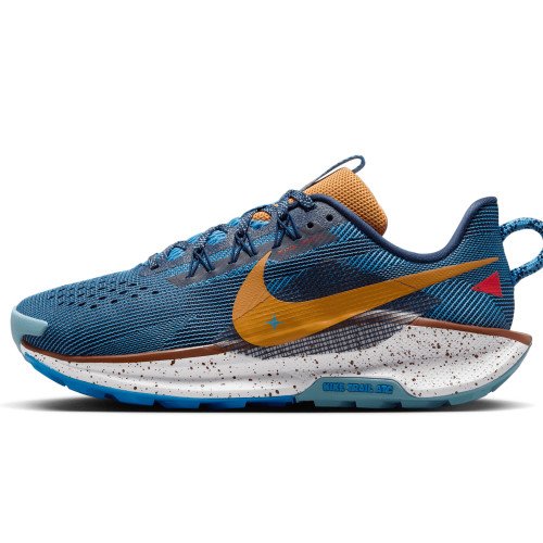 Nike Pegasus Trail 5 (DV3865-400) [1]