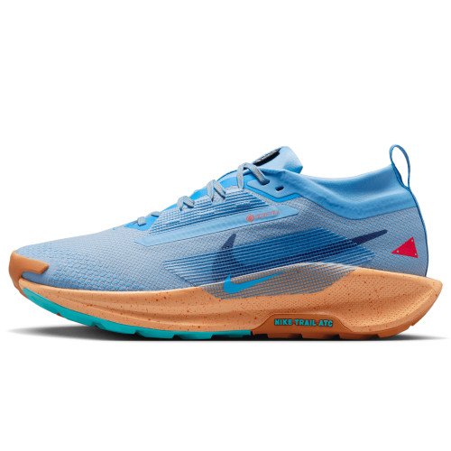 Nike Pegasus Trail 5 GORE-TEX (FQ0908-400) [1]